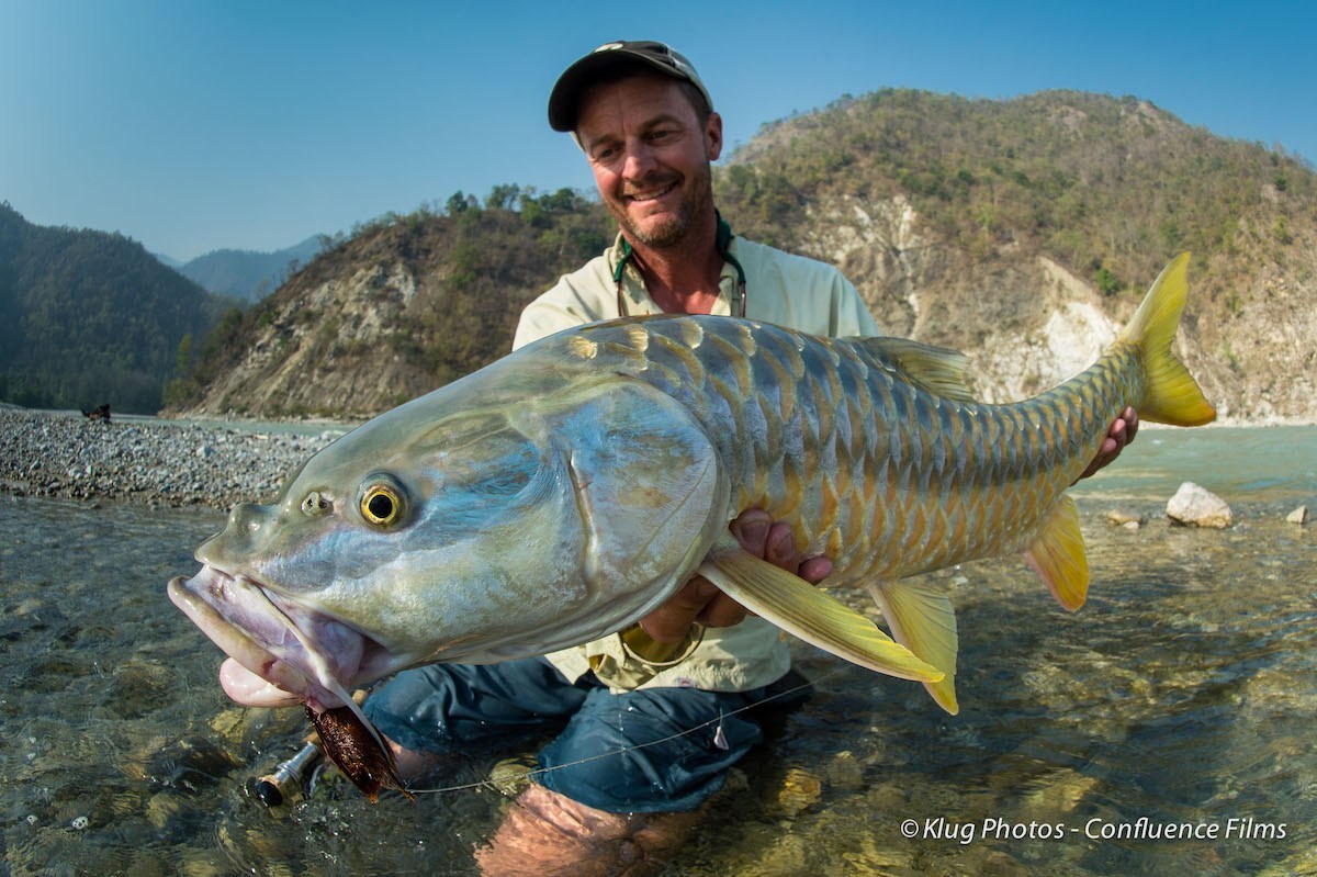 jeff currier india mahseer